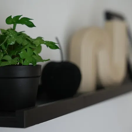 Apartma Pikabooth Ferienhaus