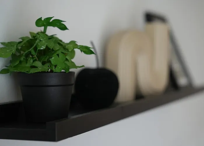 Apartma Pikabooth Casa de Férias